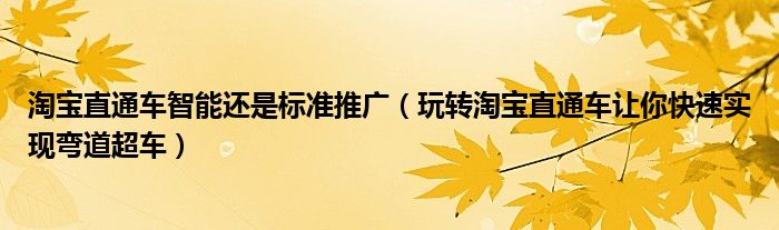 淘宝直通车智能还是标准推广（玩转淘宝直通车让你快速实现弯道超车）