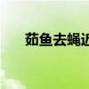 茹鱼去蝇近义词（茹鱼去蝇什么意思）