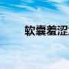 软囊羞涩意思（客囊羞涩什么意思）