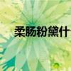 柔肠粉黛什么意思（柔肠粉泪什么意思）