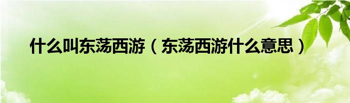 什么叫东荡西游（东荡西游什么意思）