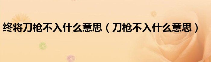 终将刀枪不入什么意思（刀枪不入什么意思）