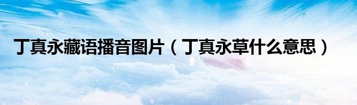 丁真永藏语播音图片（丁真永草什么意思）