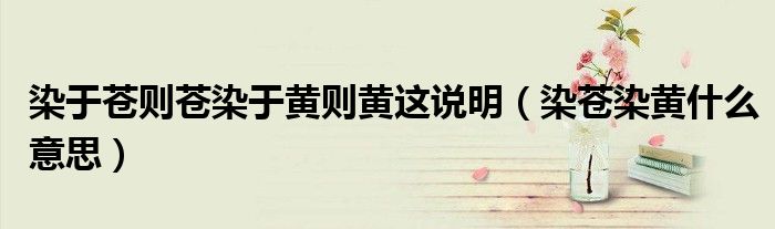 染于苍则苍染于黄则黄这说明（染苍染黄什么意思）