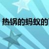 热锅的蚂蚁的下一句（热锅上蚂蚁什么意思）