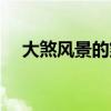 大煞风景的煞意思（大煞风景什么意思）