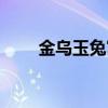 金乌玉兔寓意（金乌玉兔什么意思）