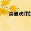 夹道欢呼的意思（夹道欢呼什么意思）