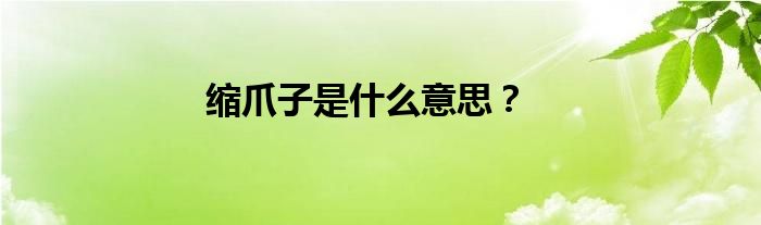 缩爪子是什么意思？