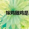 嫁鸡随鸡是成语吗（嫁鸡逐鸡什么意思）