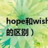 hope和wish用法的区别（hope 和wish用法的区别）