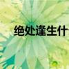 绝处逢生什么生肖（绝处逢生什么意思）
