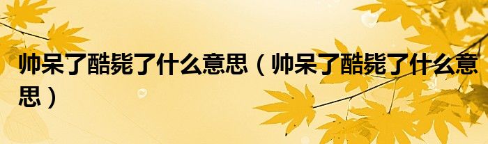 帅呆了酷毙了什么意思（帅呆了酷毙了什么意思）