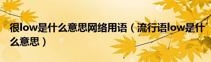 很low是什么意思网络用语（流行语low是什么意思）