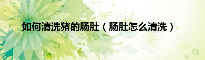 如何清洗猪的肠肚（肠肚怎么清洗）