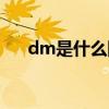 dm是什么网络语（dm是什么网络词）