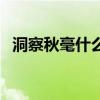 洞察秋毫什么意思啊（洞察秋毫什么意思）