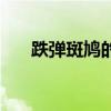 跌弹斑鸠的解释（跌弹斑鸠什么意思）