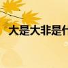 大是大非是什么意思（大是大非什么意思）