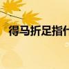 得马折足指什么生肖（得马折足什么意思）