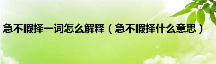 急不暇择一词怎么解释（急不暇择什么意思）
