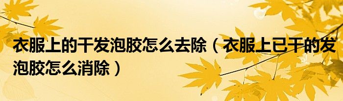 衣服上的干发泡胶怎么去除（衣服上已干的发泡胶怎么消除）