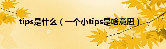 tips是什么（一个小tips是啥意思）