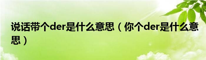 说话带个der是什么意思（你个der是什么意思）
