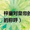 梓童对皇帝的称呼（梓童是古代皇帝对什么人的称呼）