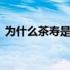 为什么茶寿是108岁（茶寿为什么是108岁）