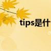 tips是什么（一个小tips是啥意思）