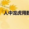 人中龙虎用数字表示（人中龙虎什么意思）