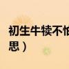 初生牛犊不怕虎什么意思（乳犊不怕虎什么意思）