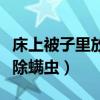床上被子里放什么能除螨虫（床上放什么可以除螨虫）