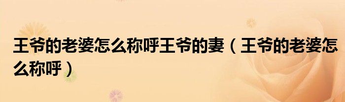王爷的老婆怎么称呼王爷的妻（王爷的老婆怎么称呼）