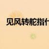 见风转舵指什么意思（见风转舵什么意思）