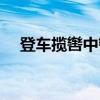 登车揽辔中辔意思（登车揽辔什么意思）