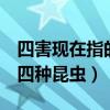 四害现在指的是哪4种昆虫害虫（四害是指哪四种昆虫）