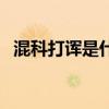 混科打诨是什么意思（打诨插科什么意思）