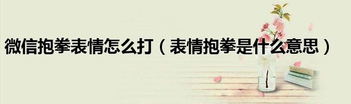 微信抱拳表情怎么打（表情抱拳是什么意思）