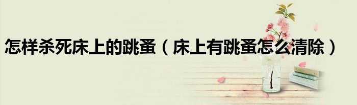 怎样杀死床上的跳蚤（床上有跳蚤怎么清除）