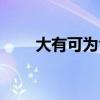 大有可为含义（大有可为什么意思）