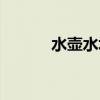 水壶水垢清除（水垢如何清除）