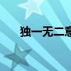 独一无二意思是（独一无二什么意思）