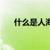 什么是人海战术（人海战术什么意思）