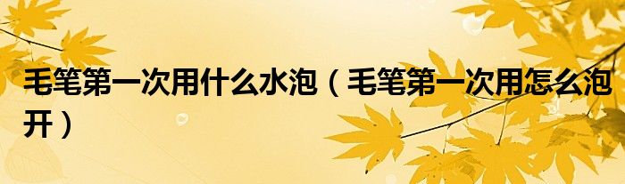 毛笔第一次用什么水泡（毛笔第一次用怎么泡开）