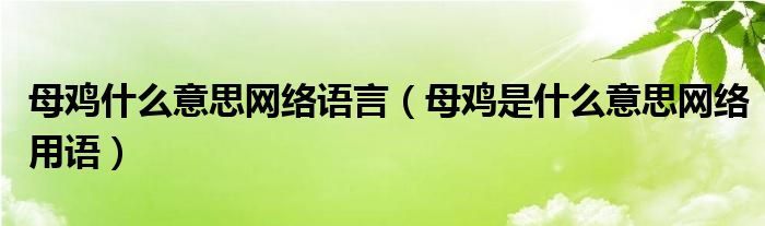 母鸡什么意思网络语言（母鸡是什么意思网络用语）
