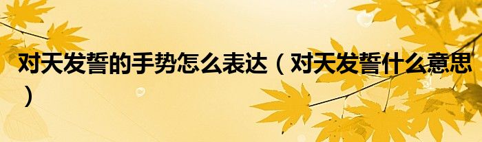 对天发誓的手势怎么表达（对天发誓什么意思）