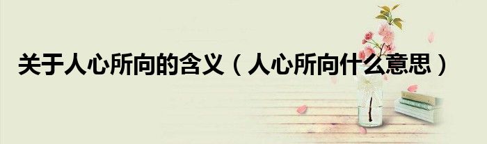 关于人心所向的含义（人心所向什么意思）
