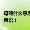 母鸡什么意思网络语言（母鸡是什么意思网络用语）